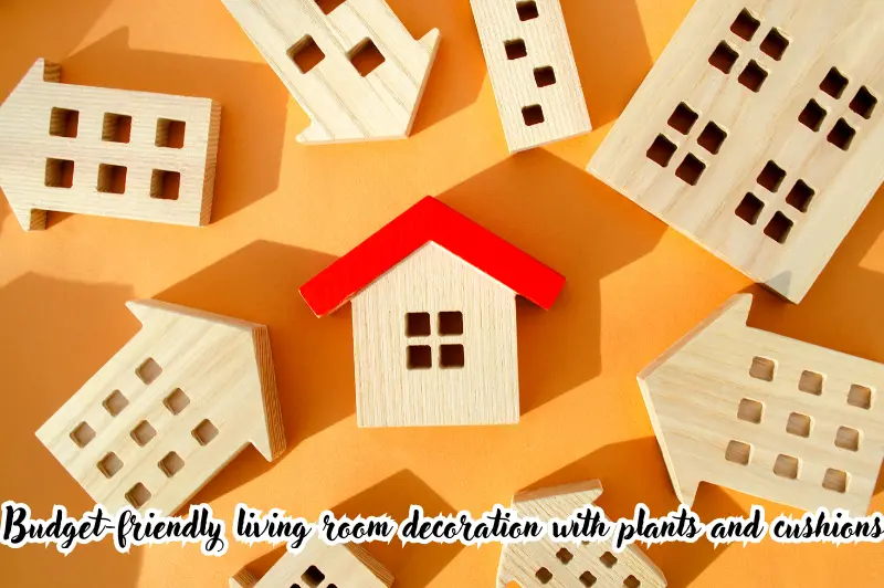 budget-friendly living room decoration with plants and cushions