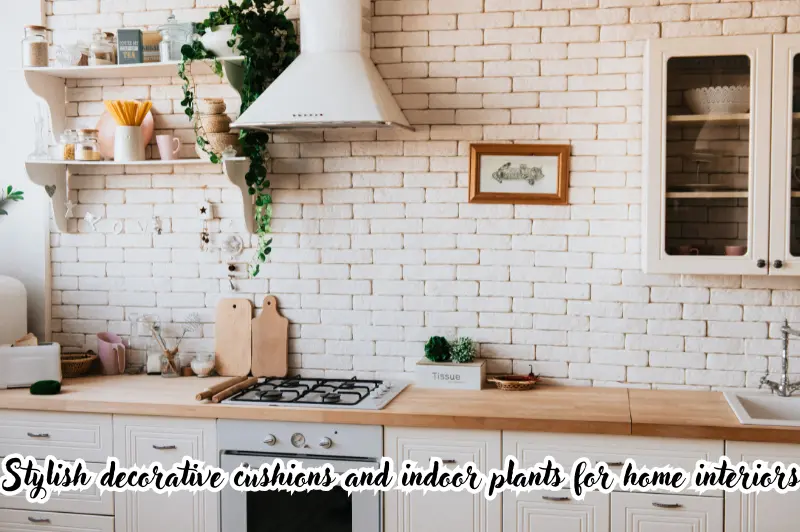 stylish decorative cushions and indoor plants for home interiors